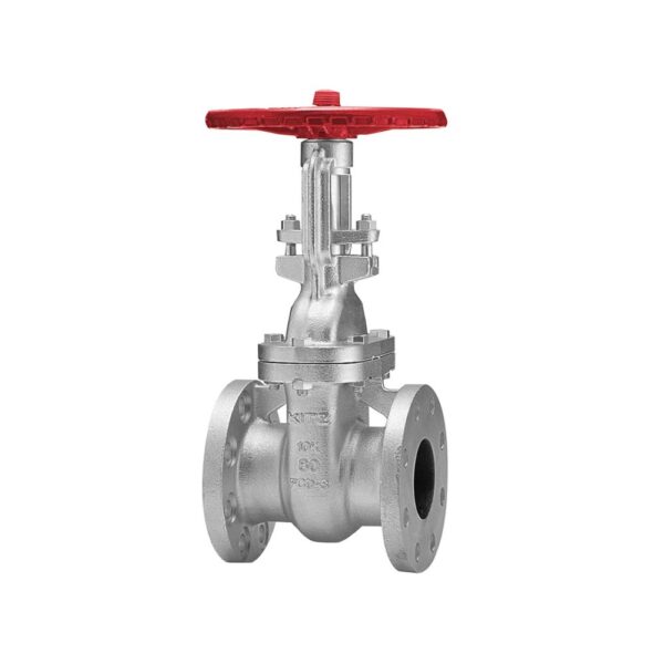 KITZ 10SMBOF Gate Valve Cast Iron JIS 6 Inch 10K